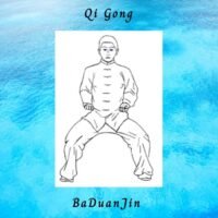 Cours Qi Gong en ligne