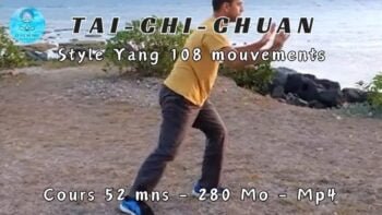 1. Cours de Tai Chi