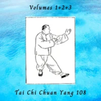 Version Anglaise – Tai Chi en ligne Volumes 1+2+3